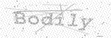 Security Picture (click to change)
