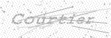 Security Picture (click to change)