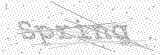 Security Picture (click to change)