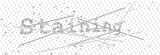 Security Picture (click to change)