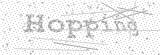 Security Picture (click to change)