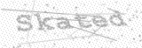 Security Picture (click to change)