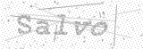 Security Picture (click to change)