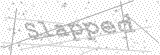 Security Picture (click to change)