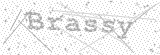 Security Picture (click to change)
