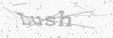 Security Picture (click to change)