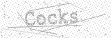 Security Picture (click to change)