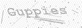 Security Picture (click to change)