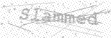 Security Picture (click to change)