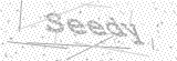 Security Picture (click to change)