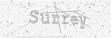 Security Picture (click to change)