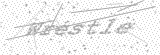 Security Picture (click to change)