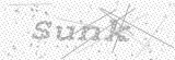 Security Picture (click to change)