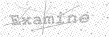 Security Picture (click to change)