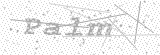 Security Picture (click to change)