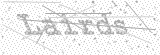 Security Picture (click to change)