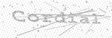 Security Picture (click to change)