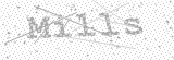 Security Picture (click to change)
