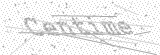 Security Picture (click to change)