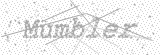 Security Picture (click to change)