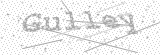 Security Picture (click to change)