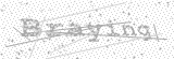 Security Picture (click to change)