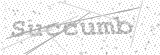 Security Picture (click to change)