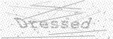 Security Picture (click to change)