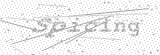 Security Picture (click to change)