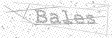 Security Picture (click to change)