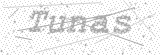 Security Picture (click to change)