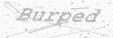Security Picture (click to change)