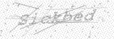 Security Picture (click to change)