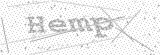 Security Picture (click to change)