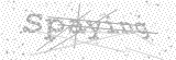 Security Picture (click to change)