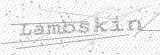 Security Picture (click to change)