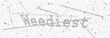 Security Picture (click to change)