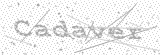 Security Picture (click to change)