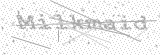 Security Picture (click to change)
