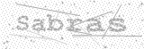 Security Picture (click to change)