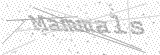 Security Picture (click to change)