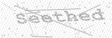 Security Picture (click to change)