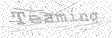 Security Picture (click to change)