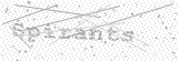 Security Picture (click to change)