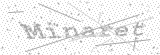 Security Picture (click to change)