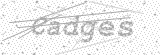 Security Picture (click to change)