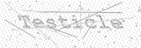 Security Picture (click to change)
