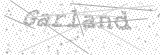 Security Picture (click to change)