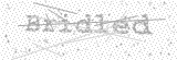 Security Picture (click to change)