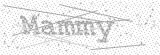 Security Picture (click to change)